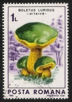 Sellos del Mundo : Europe : Romania : SETAS-HONGOS: 1.213.022,02-Boletus luridus -Dm.986.69-Y&T.3697-Mch.4289-Sc.3406