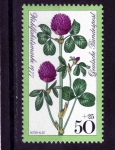 Stamps Germany -  R.F.A.