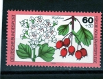 Stamps Germany -  R.F.A.