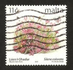 Stamps Malta -  flores, silene colorata