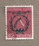 Sellos de Europa - Suiza -  Pro Patria 1980