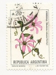 Stamps Argentina -  Virreina