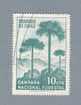 Sellos de America - Chile -  Ccampaña Nacional Forestal (repetido)