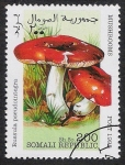 Sellos de Africa - Somalia -  SETAS:229.002 Russula pseudointegra