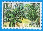 Stamps Spain -  Barbusano