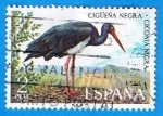 Stamps Spain -  Cigueña Negra