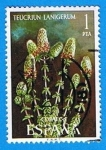 Stamps Spain -  Teucrium Lanigerum