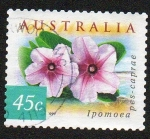 Stamps Australia -  Ipomoea pes-caprae