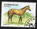 Sellos del Mundo : Asia : Azerbaijan : Razas de caballo-Akhalteka