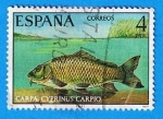 Sellos de Europa - Espa�a -  Carpa