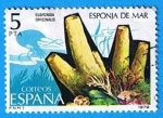 Stamps Spain -  Esponja de Mar