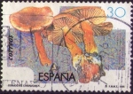 Stamps Spain -  Dermocybe cinnamomea