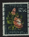 Stamps : Africa : South_Africa :  Planta