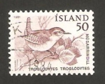 Sellos de Europa - Islandia -  pájaros, troglodytes, troglodytes