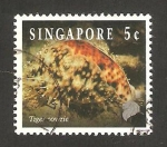 Stamps Singapore -  fauna marina, cyprae tigris