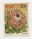 Sellos de Africa - Sudfrica -  Definitives (Protea Magnifica)