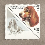 Sellos de Africa - Guinea -  Perro Basset