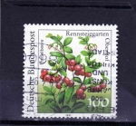 Stamps Germany -  R.F.A-.