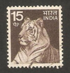 Stamps India -  un tigre