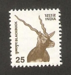 Stamps India -  antílope