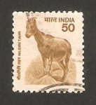 Stamps : Asia : India :  1535 - tahr de nilgiri