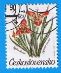 Stamps Czechoslovakia -  Plamtas