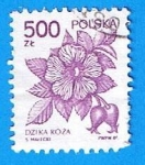 Stamps Poland -  Dzica Roza