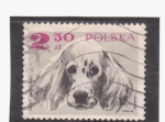 Stamps : Europe : Poland :  Seter