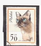 Stamps : Europe : Poland :  Gato siames