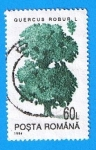 Sellos del Mundo : Europe : Romania : Quercus Robur L