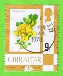 Stamps Gibraltar -  Coronilla valentina