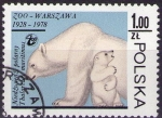 Sellos de Europa - Polonia -  Oso polar