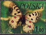 Sellos de Europa - Polonia -  Parnassius apollo