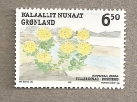 Stamps Europe - Greenland -  Rhodiola rosea