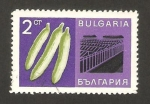 Sellos del Mundo : Europe : Bulgaria : pepinos