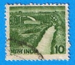 Stamps India -  Riego