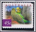 Stamps Australia -  Budgerigar