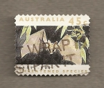 Stamps Australia -  Murciélago fantasma