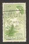 Stamps Bermuda -  elizabeth II, flor de lis 