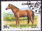 Sellos del Mundo : Asia : Azerbaijan : Caballo