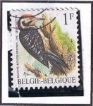 Stamps Belgium -  Kleilene Bonte