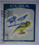 Stamps Cuba -  Canaricultura