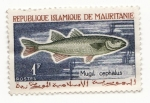 Sellos de Africa - Mauritania -  Mugil Cepbalus