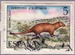 Stamps Spain -  Fauna 2105