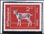 Stamps Bulgaria -  Cabra