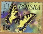 Sellos de Europa - Polonia -  MARIPOSAS