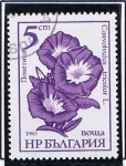 Stamps Bulgaria -  Convolvulus Tricolor