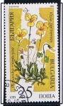 Stamps Bulgaria -  Viola perenesis