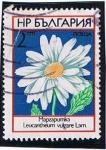 Stamps Bulgaria -  Margarita