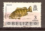Stamps Belize -  PEZ  MERO